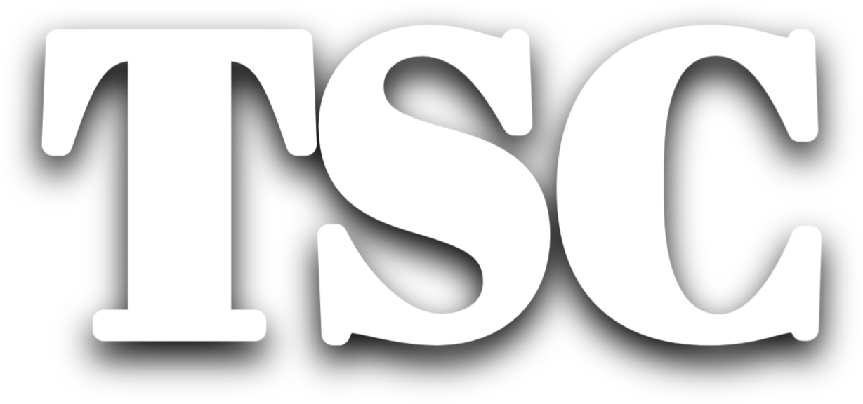 TheSinCheck